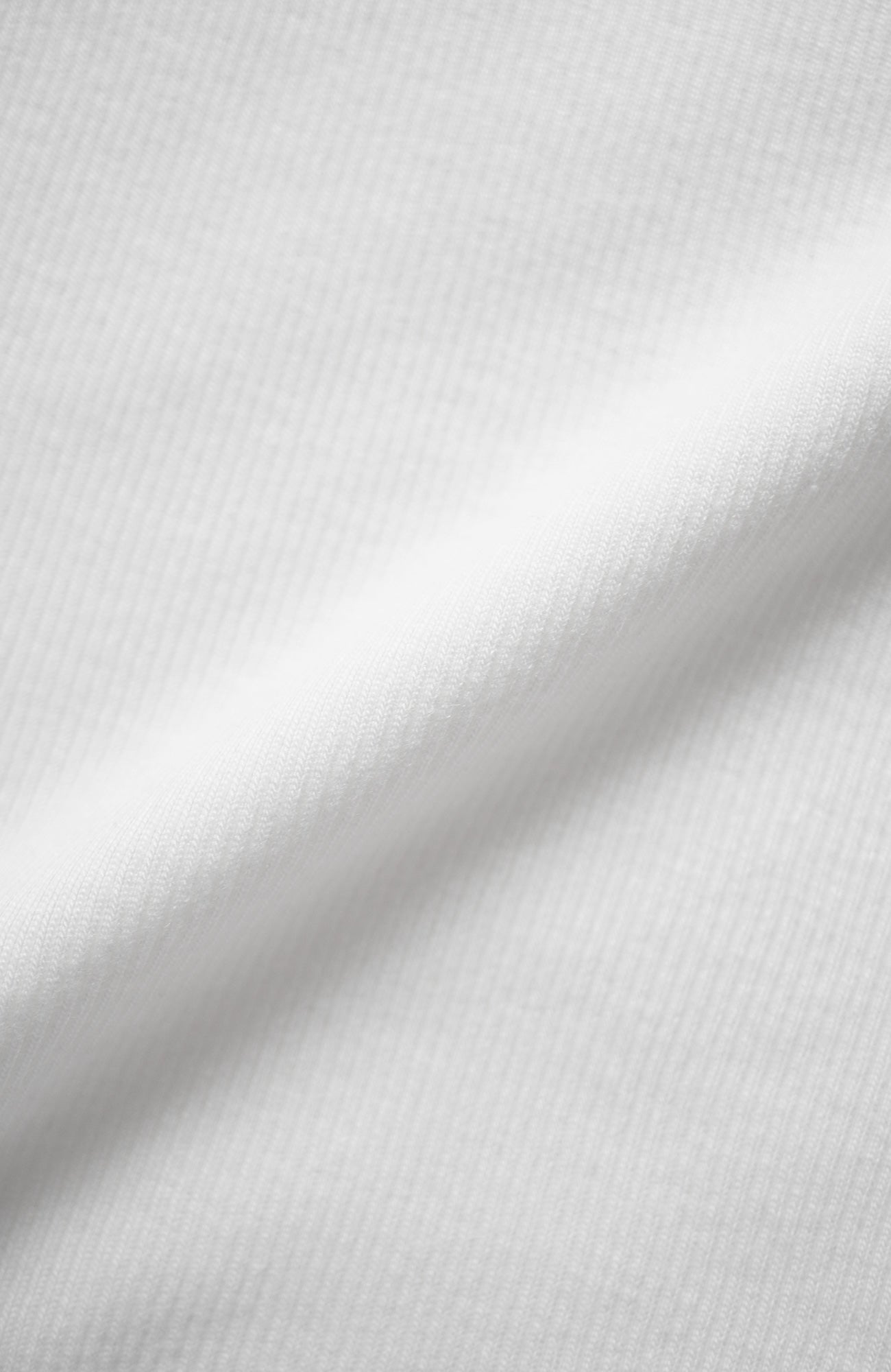 Sheer roll neck telecom sleeveless (2024 Spring Collection)