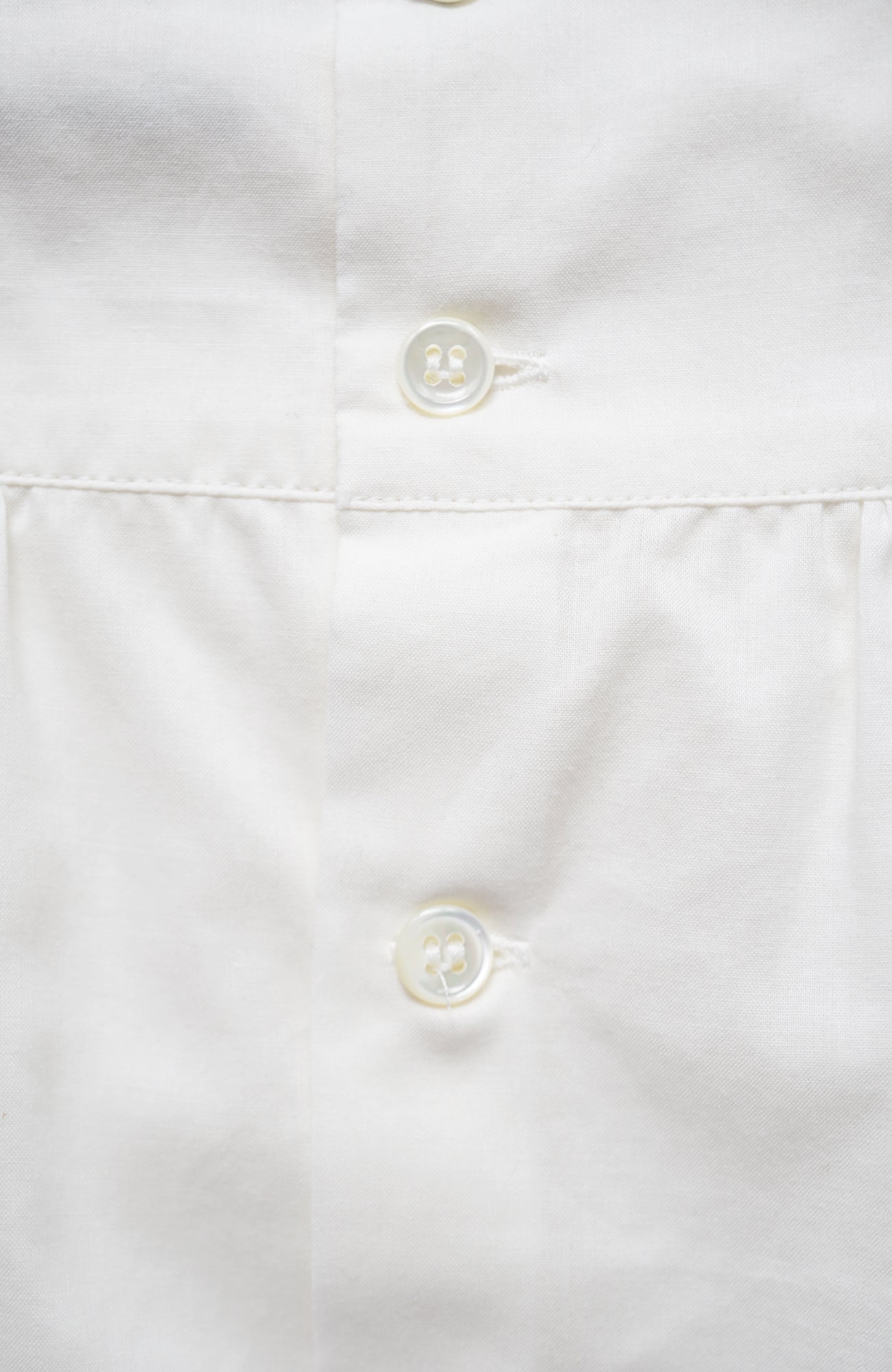タックカラーブラウス(2025 Pre-Spring Collection)