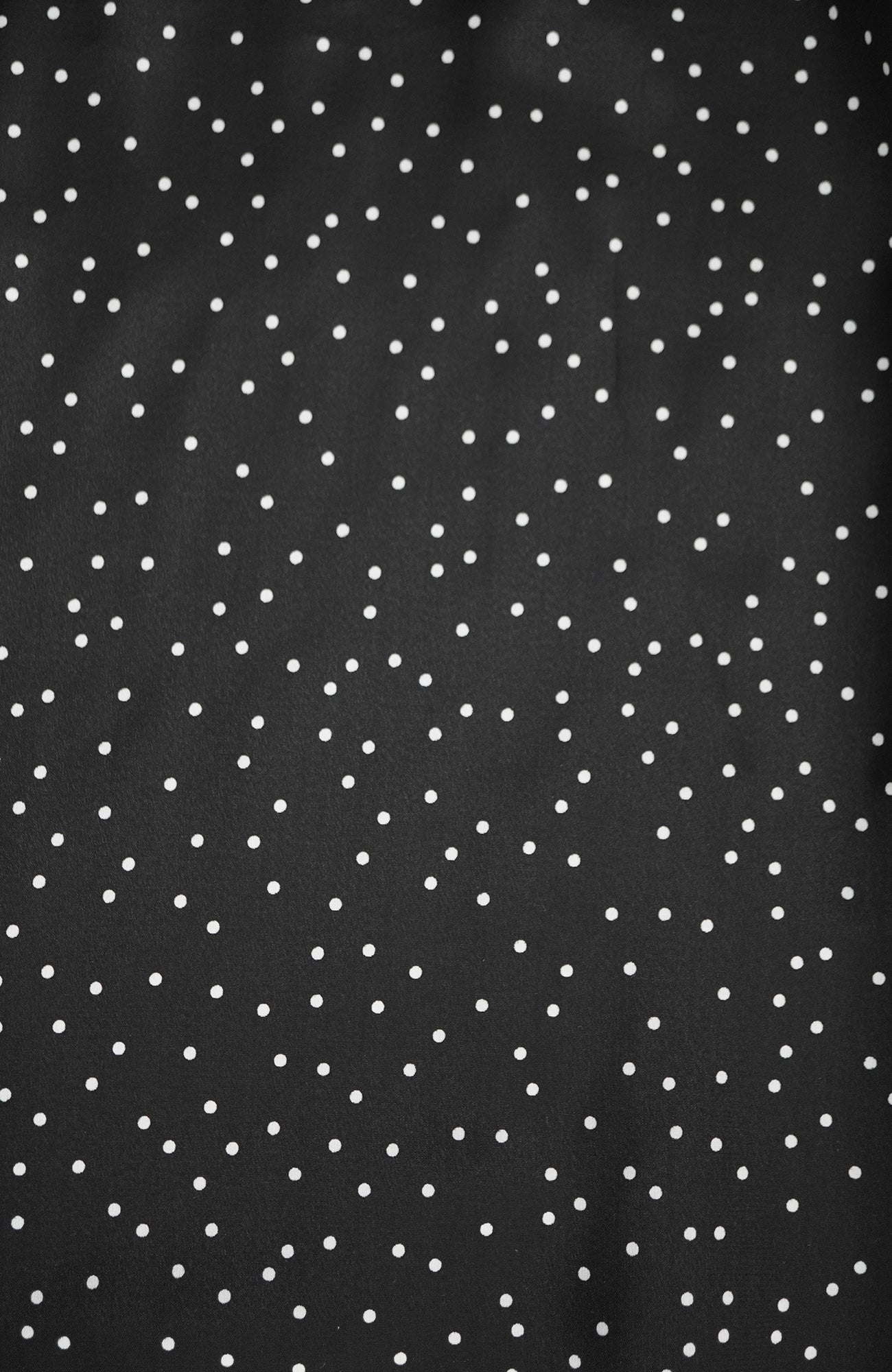 Polka dot dress (2025 Pre-Spring Collection)