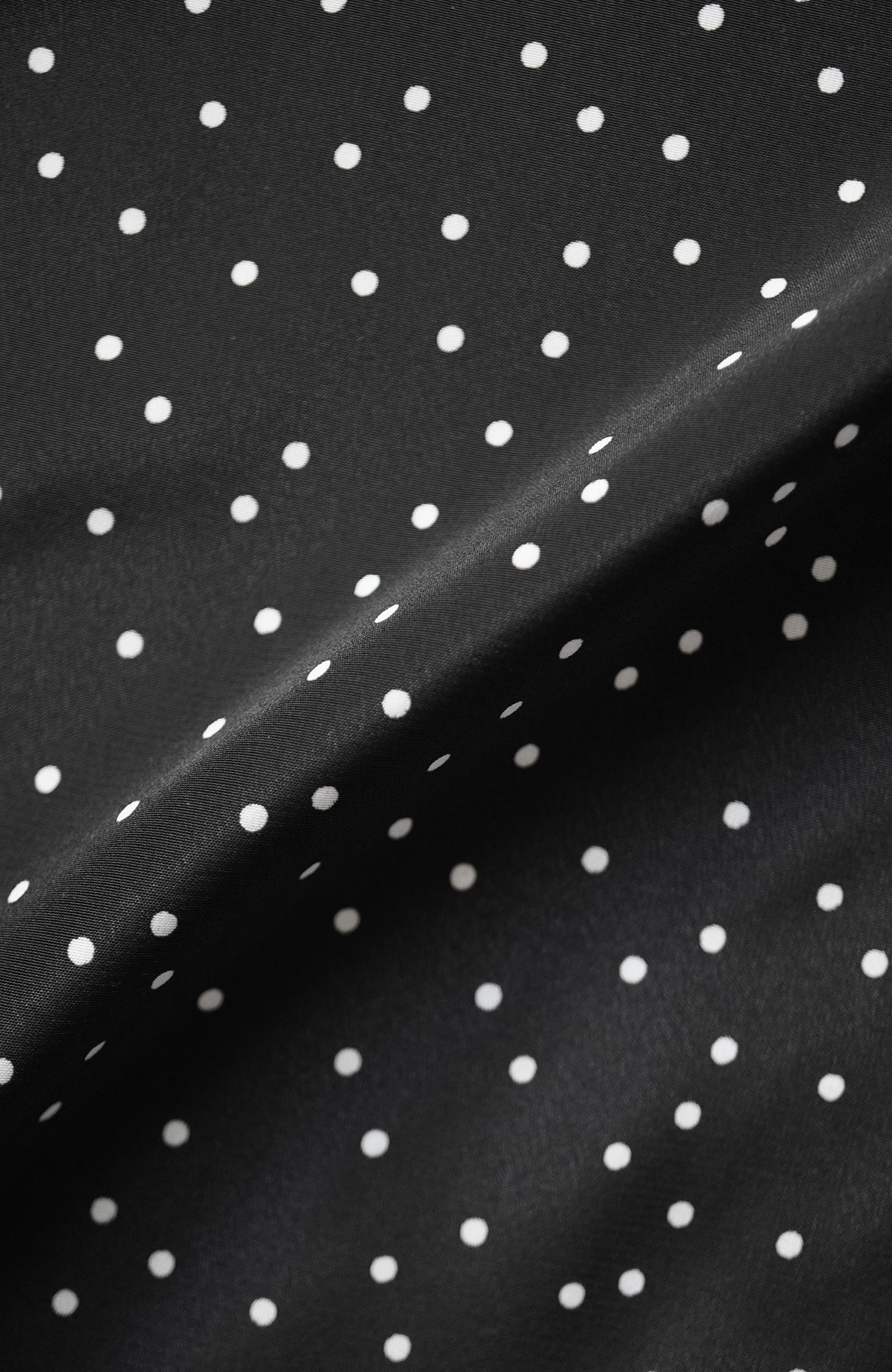 Polka dot dress (2025 Pre-Spring Collection)