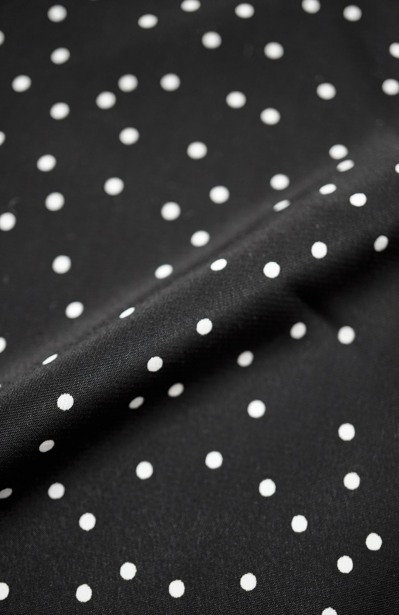 Dot hem pleated pants (2025 Pre-Spring Collection)