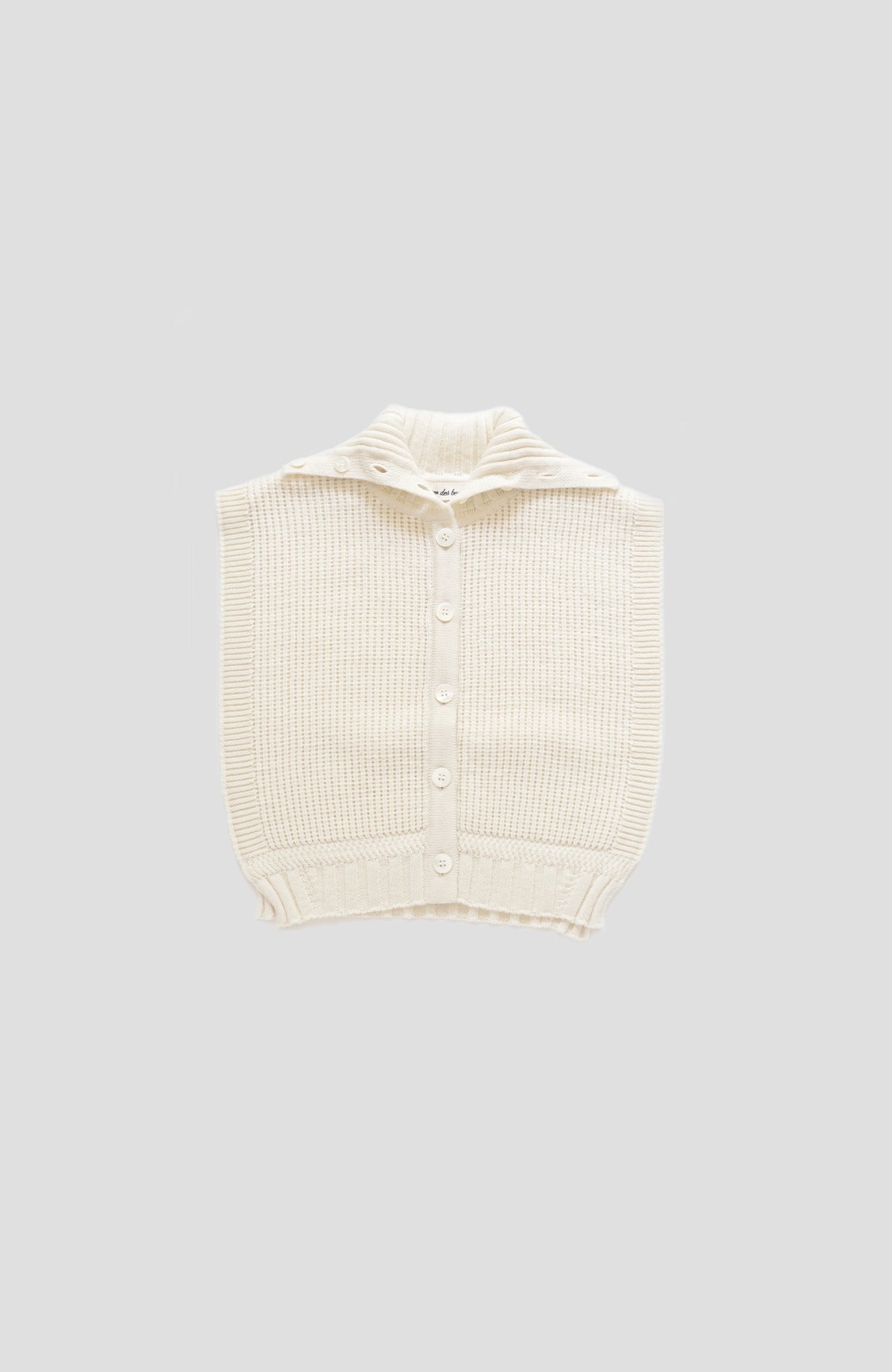 ボタンカラーベスト(2025-2026 Winter & Pre-spring Collection)