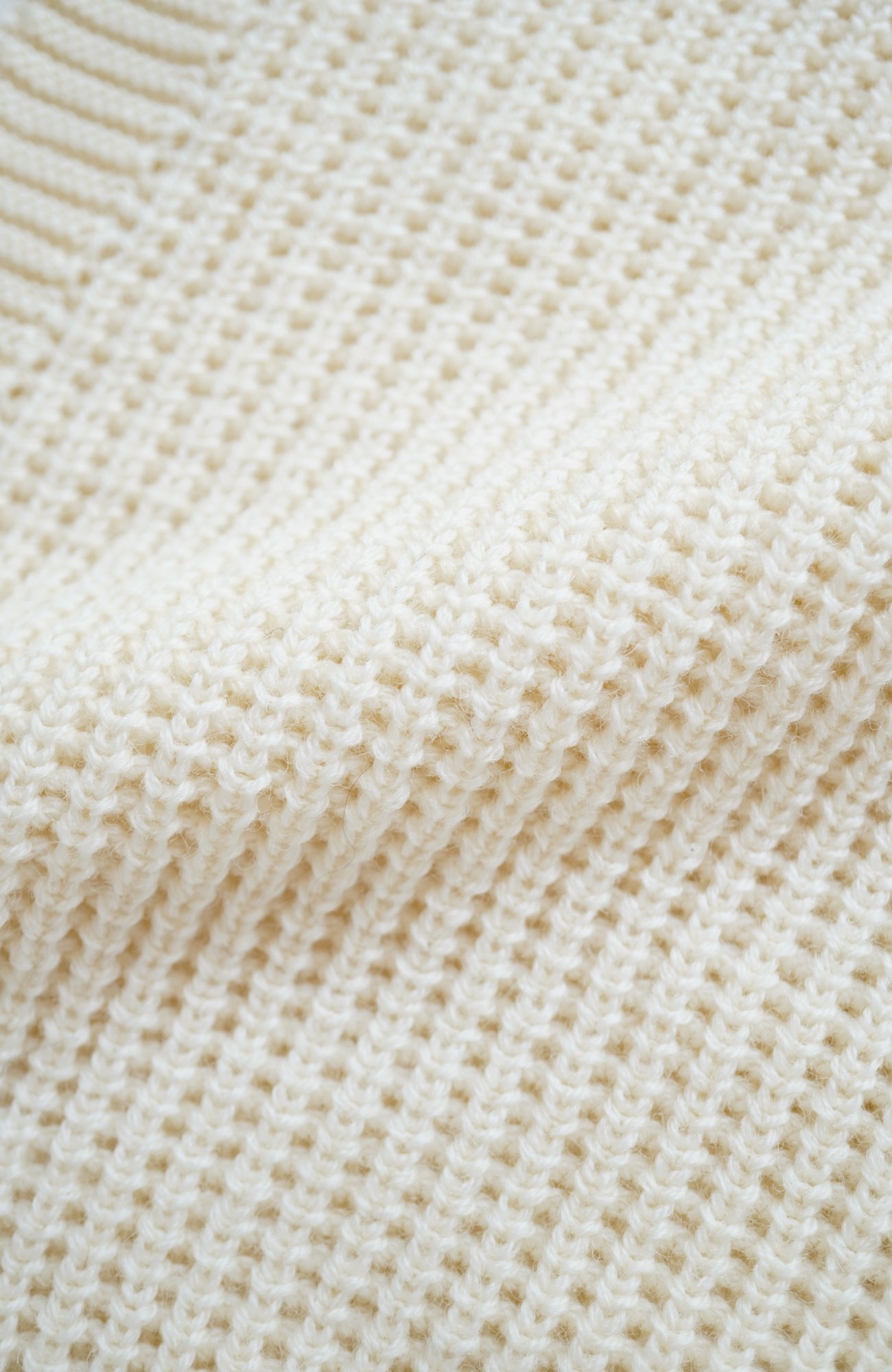 ボタンカラーベスト(2025-2026 Winter & Pre-spring Collection)