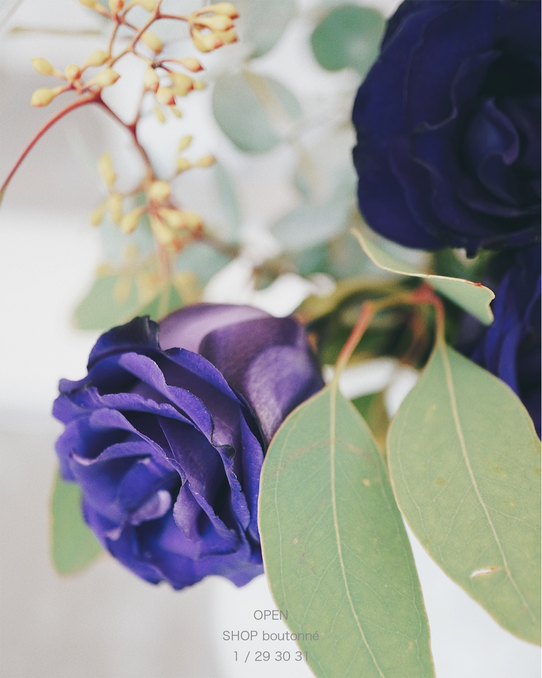 1月＆2月SHOP OPEN情報