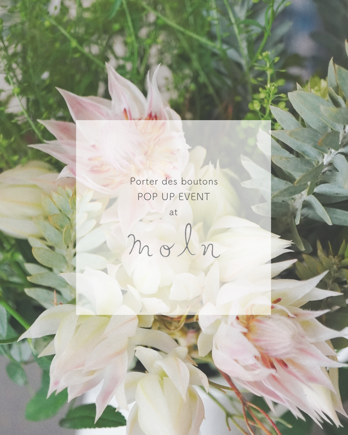 【鎌倉・MOLN】POP UP EVENT