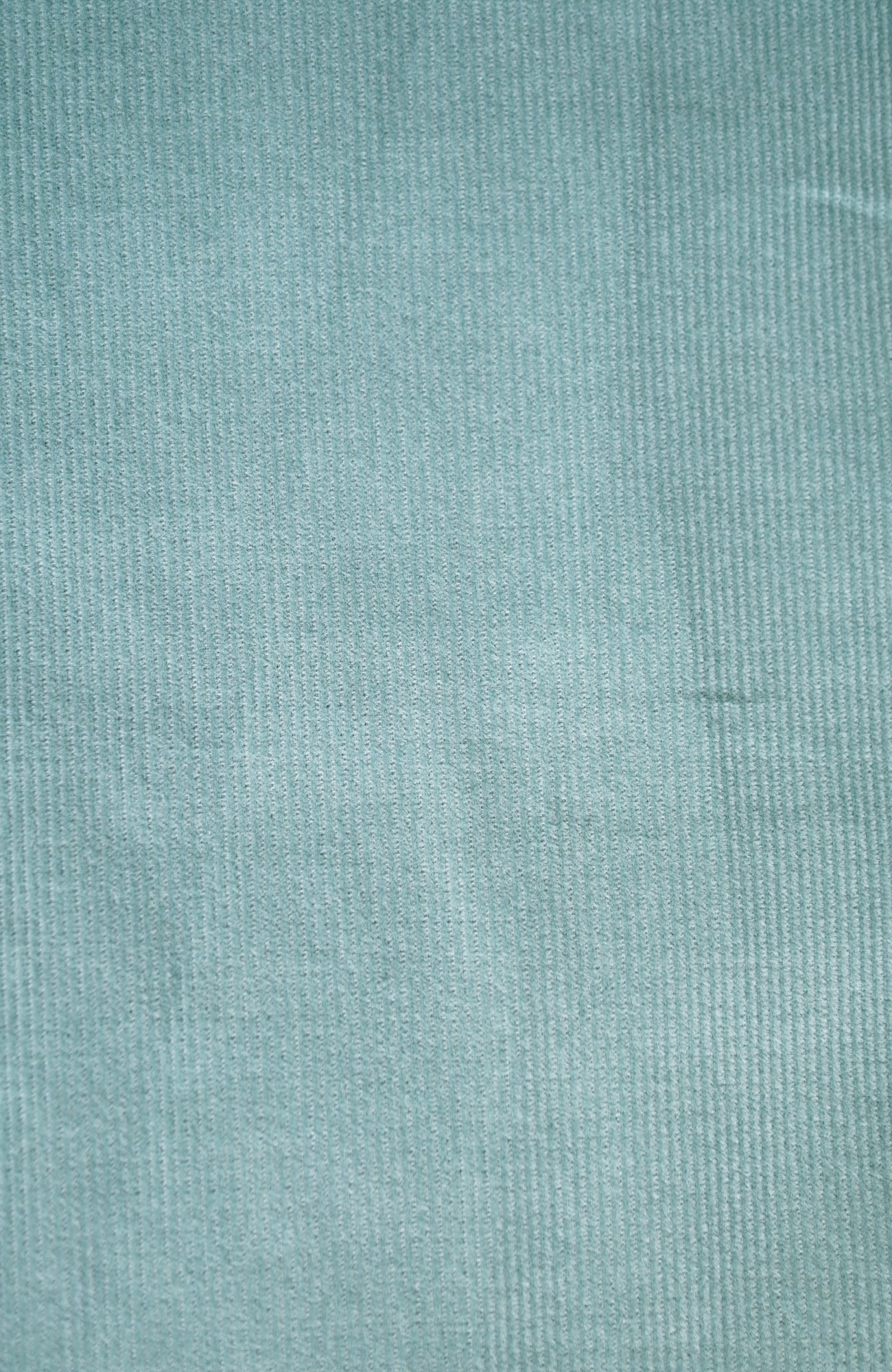 オーバルパンツ/シャツコール(2025-2026 Winter & Pre-spring Collection)