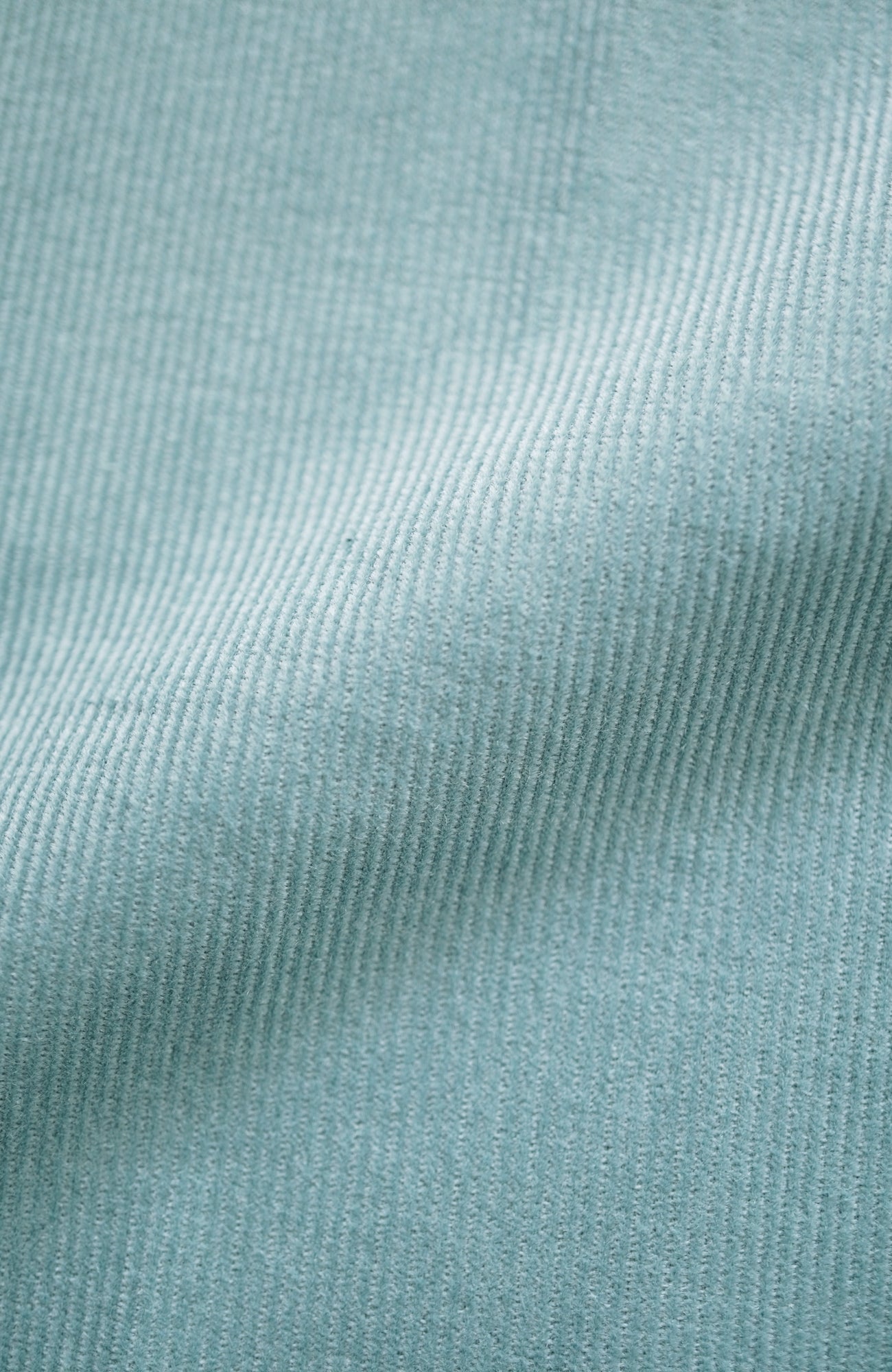 オーバルパンツ/シャツコール(2025-2026 Winter & Pre-spring Collection)