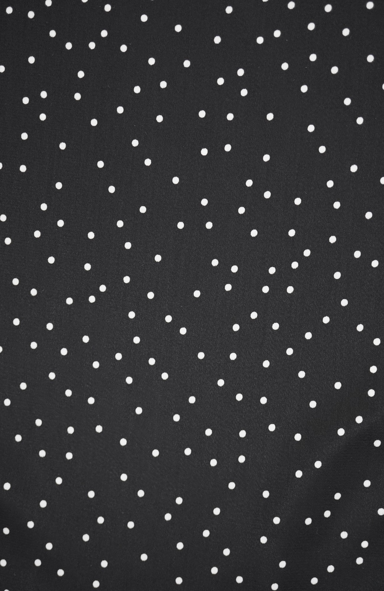 タックカラーブラウス/ドット(2025-2026 Winter & Pre-spring Collection)