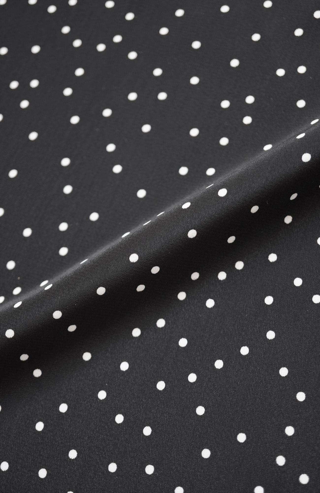 タックカラーブラウス/ドット(2025-2026 Winter & Pre-spring Collection)