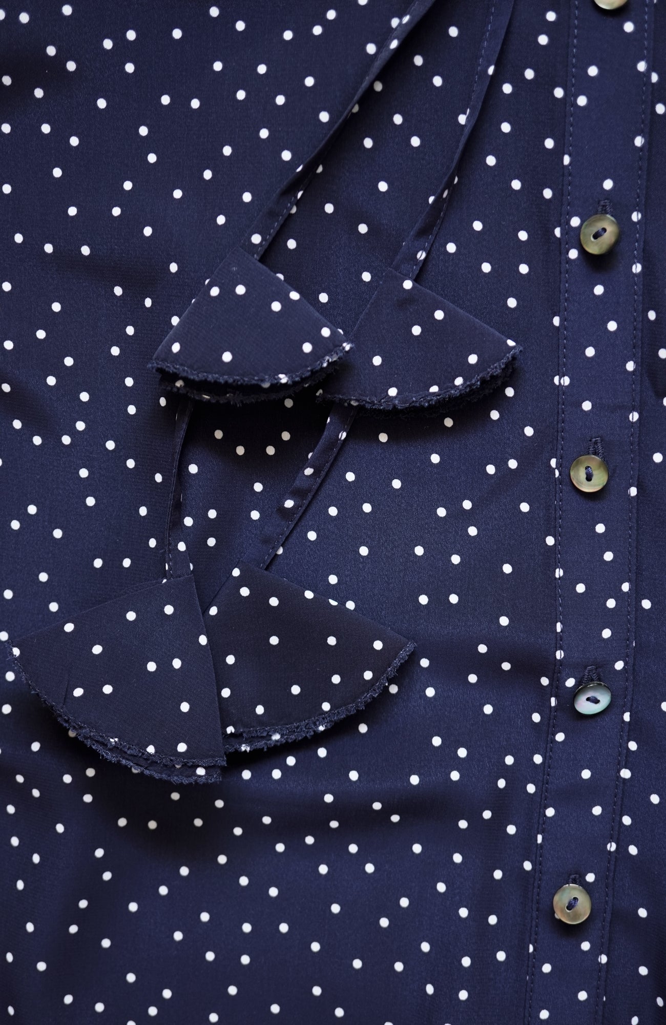 タックカラーブラウス/ドット(2025-2026 Winter & Pre-spring Collection)