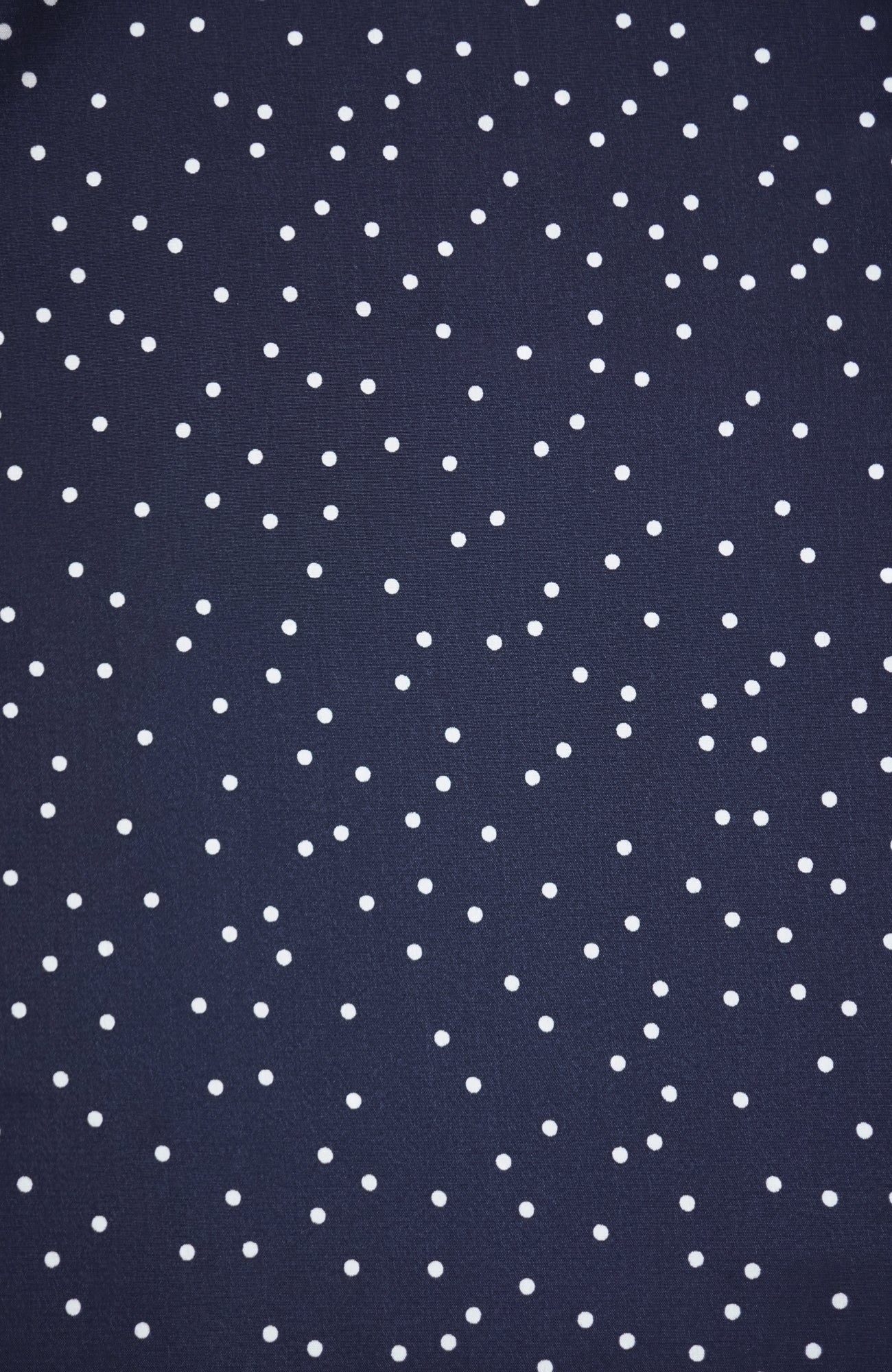 タックカラーブラウス/ドット(2025-2026 Winter & Pre-spring Collection)