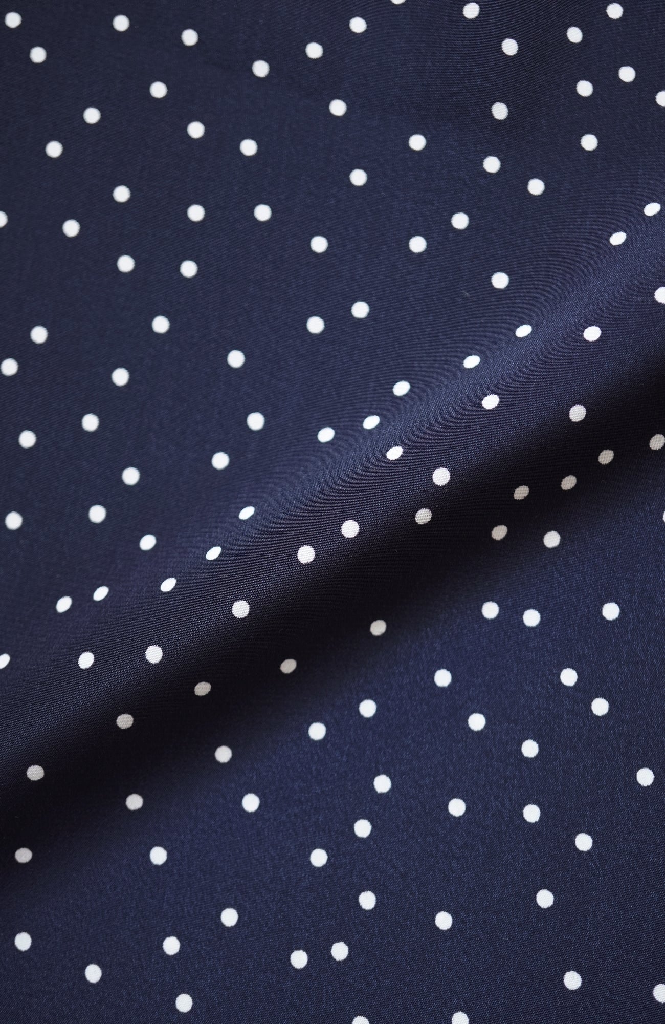 タックカラーブラウス/ドット(2025-2026 Winter & Pre-spring Collection)