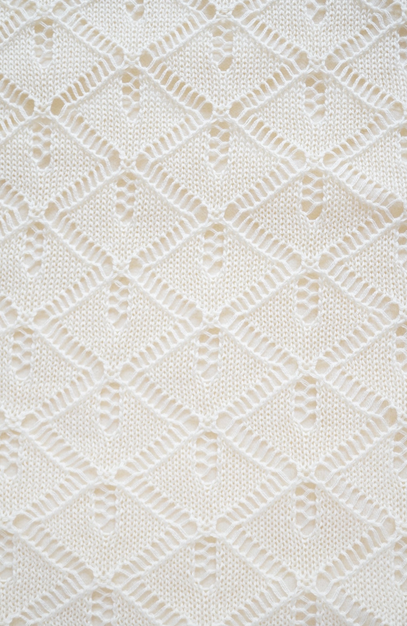 透かし編み2wayニットベスト(2025-2026 Winter & Pre-spring Collection)