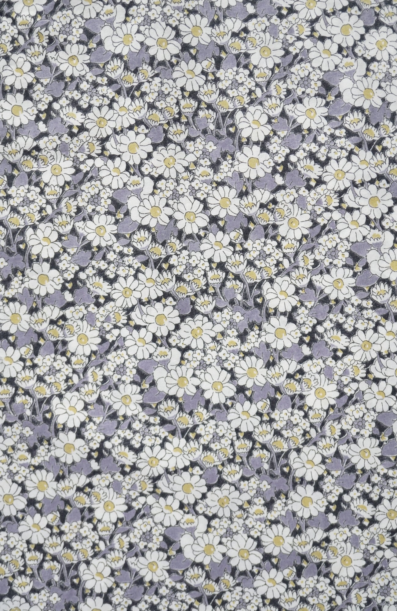 LIBERTY PRINTフラットフリルカラーブラウス(2026-2027 Winter & Pre-spring Collection)